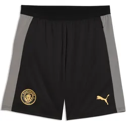 Puma, Herren, Sporthose, MCFC Training Shorts w/ pockets (S), Schwarz