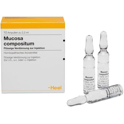 Mucosa compositum Ampullen 10 St