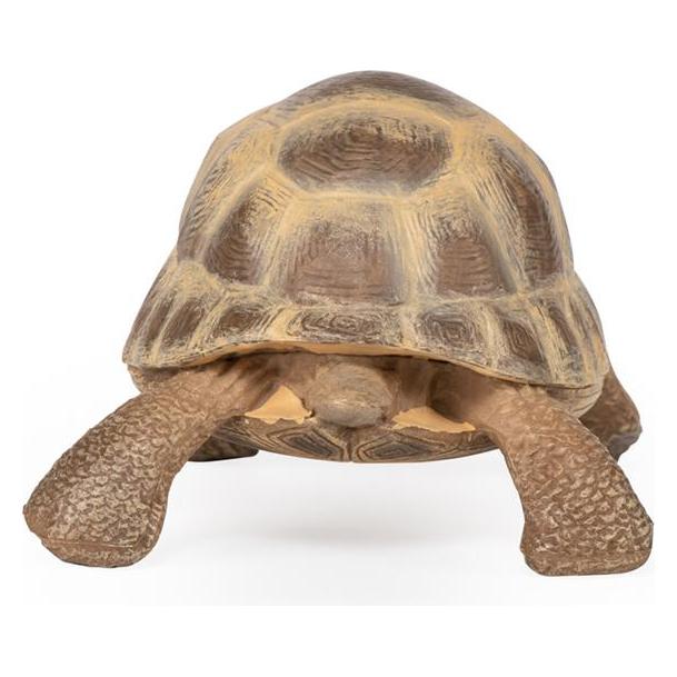 Papo Hermanns Schildkröte (50264)