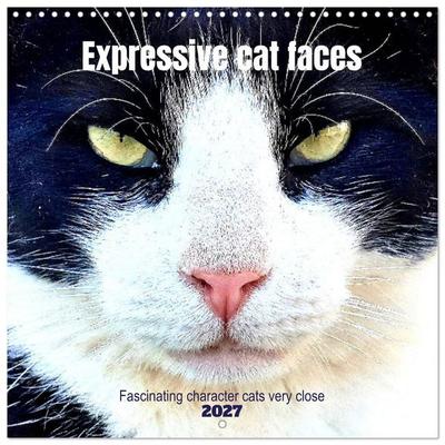Expressive cat faces. Fascinating character cats very close (Wall Calendar 2027 12 × 12 Inch) CALVENDO 12 Month Wall Calendar