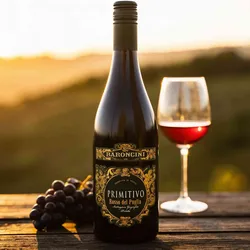 2022 Baroncini Organic Primitivo Rosso Puglia IGP 2022 Primitivo  Italien