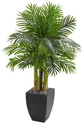 Nearly Natural Kentia Palm Artificial Tree in Black Planter