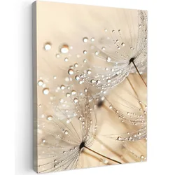 LEINWANDBILD Löwenzahn - Abstrakt - Natur - Beige Room Decor 30x40 cm