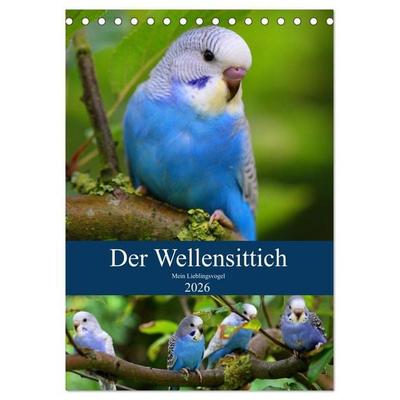 Der Wellensittich - Mein Lieblingsvogel (Tischkalender 2026 DIN A5 hoch), CALVENDO Monatskalender