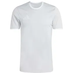 adidas Entrada 26 Trikot Herren - team light grey/white - L