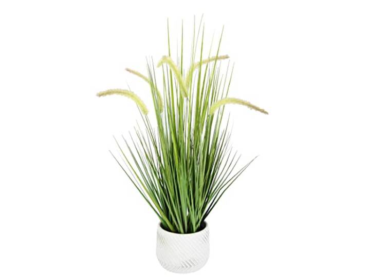 Künstliches Fuchsschwanzgras mit Übertopf Gras Kunstpflanze Kunstgras Ziergras Grünpflanzen Dekogras Grasbüschel Ziergras Solitärgras Deko Borstenhirse Süßgräser Federborstengras Lampenputzergras