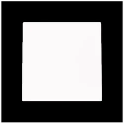 Busch-Jaeger Blindzentralscheibe 1749-44M 2CKA001710A4249