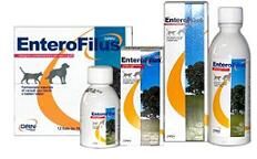 Enterofilus Mang Sempl 100 ml