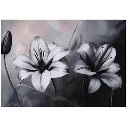 FOTOTAPETE 3D Effekt Blumen Schwarz Weiß 150x105
