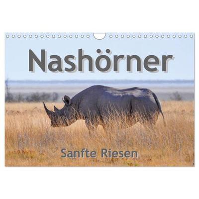 Nashörner - Sanfte Riesen (Wandkalender 2026 DIN A4 quer), CALVENDO Monatskalender