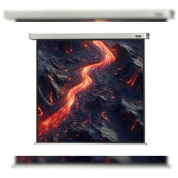 celexon Leinwand Motor Professional 280 x 280 cm