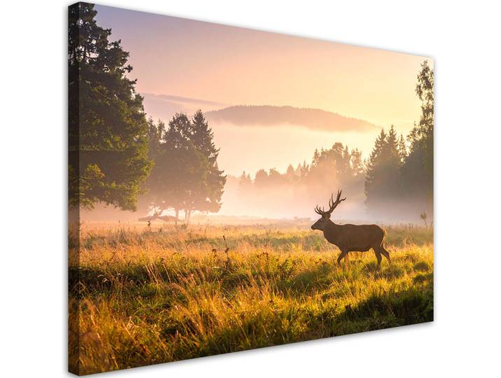 Feeby Leinwandbild Landschaft Hirsch im Brunftgebiet im Nebel 120x80cm, Beige, Landschaft/Berg, Rechteckig, 120x80 cm, Bilder & Rahmen, Bilder, Leinwandbilder