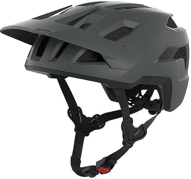 ALPINA Fahrradhelm TAUNUS grau   52-56CM B
