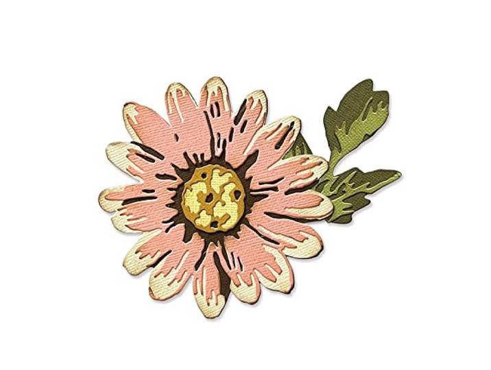 Sizzix Thinlits Die Set 7PK Blossom by Tim Holtz , 666283