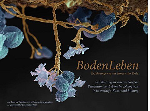 Beatrice Voigt - BodenLeben - Erfahrungsweg ins Innere der Erde: Annäherung an eine verborgene Dimension des Lebens im Dialog von Wissenschaft, Kunst und Bildung (Visionen einer Kultur der Nachhaltigkeit, Band 2) - Preis vom 30.09.2026 09:01:18 h