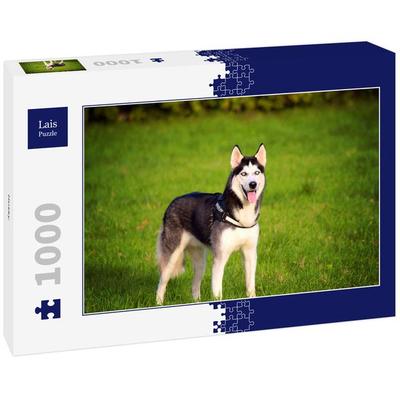Lais Puzzle Husky 1000 Teile