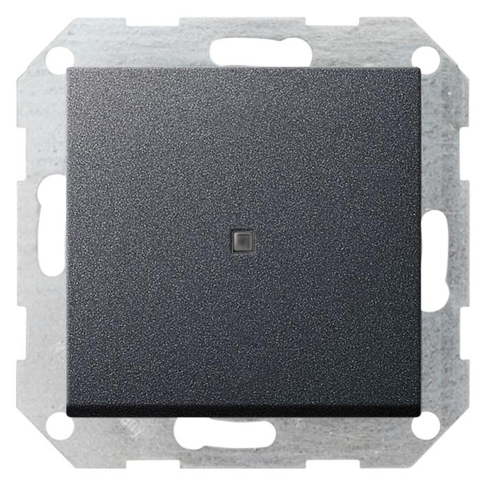 Gira Tast-Kontroll AusWe gerade System 55 012428 (12428)