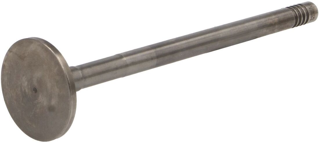 Auslassventil MAHLE 061 VA 32055 000