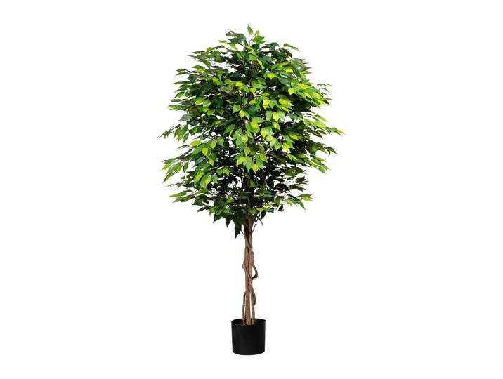 Kunstpflanze, Grün, Braun, Schwarz, Kunststoff, Naturmaterialien, 180 cm, inkl. Topf, mit Naturstamm, Dekoration, Blumen & Blumentöpfe, Kunstpflanzen