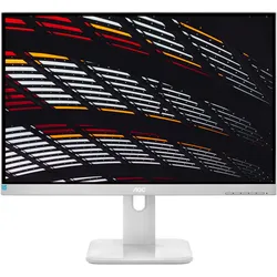 AOC X24P1/GR (1920 x 1200 Pixel, 24"), Monitor, Grau