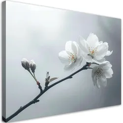 BILD auf Leinwand, Zweig weiße Blumen Pflanze