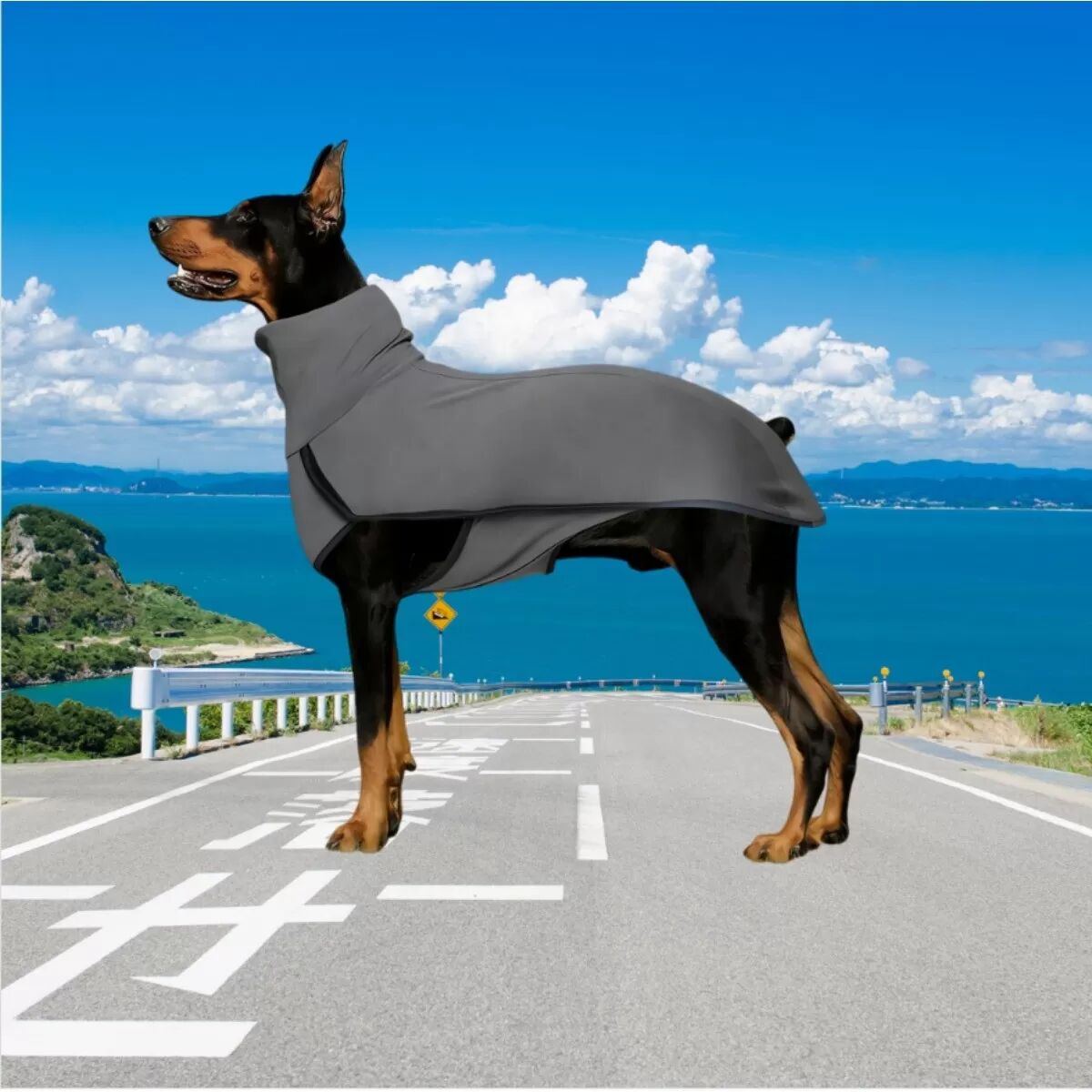 INF Warmes Hunde-Halsband-Weste in Uni – Bequeme Kleidung für Zuhause Grau 3XL