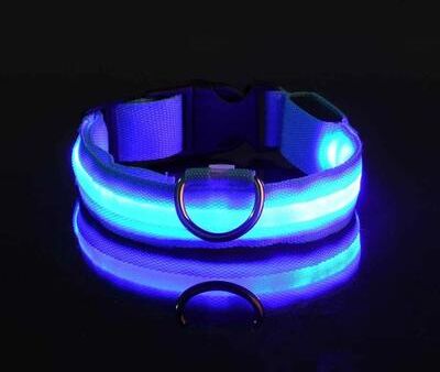 Uplifted Finds Nylon LED Night Safety Glow Dog Leash And Collar xs blue