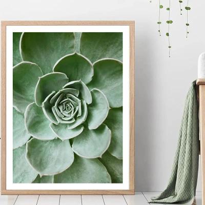 Uplift Picks Botanical Wall Art Plant Canvas Print Green Wall Decor Nature Leaf Poster 05 20x30 Cm