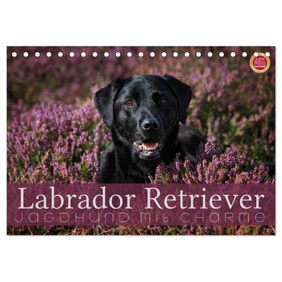 Labrador Retriever - Jagdhund mit Charme (Tischkalender 2027 DIN A5 quer), CALVENDO Monatskalender