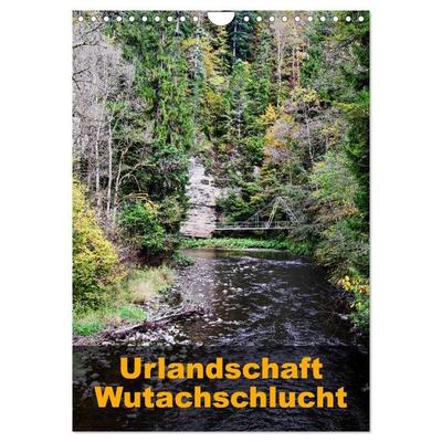 Urlandschaft Wutachschlucht (Wandkalender 2027 DIN A4 hoch), CALVENDO Monatskalender