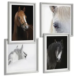 BILDER SET 4er Set - 50x50 cm & 40x60 cm Silberner Rahmen - Pferdeporträts in Schattierungen