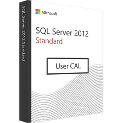 Microsoft SQL Server 2012 Standard - 1 User CAL