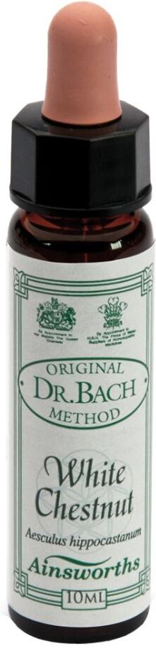 SANTIVERI Sa WHITE CHESTNUT 10ML AINSWORTHS
