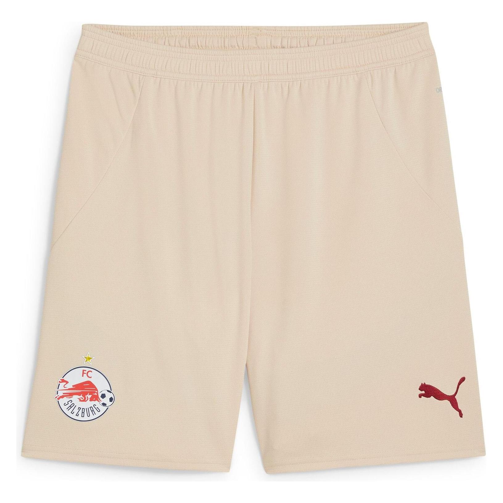 Puma RBS Shorts Replica (M) (776452)
