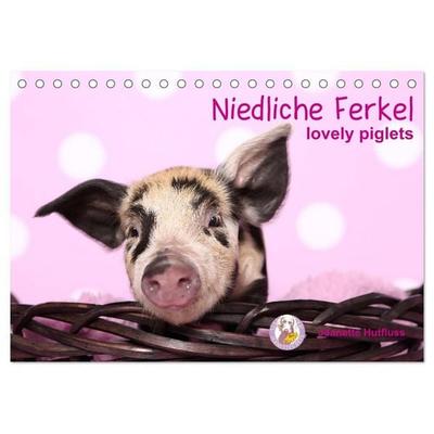 Niedliche Ferkel lovely piglets (Tischkalender 2027 DIN A5 quer), CALVENDO Monatskalender