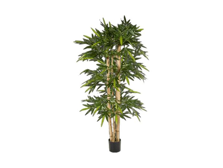Lebensechte Kunstpflanze „Bamboo New Giant“, verschiedene Grössen Grün Baq Design