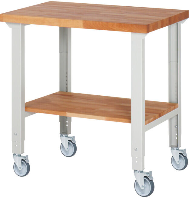 Rau Établi mobile réglable en hauteur 7000-7, L1000xP700xH950-1000mm (05-7000-7-107B4H4.12)