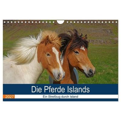 Die Pferde Islands - Ein Streifzug durch Island (Wandkalender 2027 DIN A4 quer), CALVENDO Monatskalender