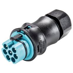 Wieland Electric 96.062.4153.6 Steckverbinder