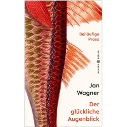 Der glückliche Augenblick, Belletristik von Jan Wagner