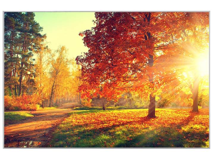 Bild mit Rahmen Abendstimmung im Herbstwald image LAND