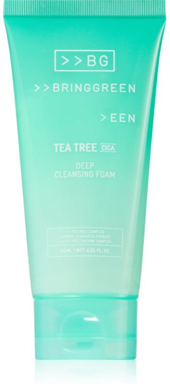 BRINGGREEN Tea Tree Cica Deep Cleansing Foam deep-cleansing mousse with soothing effect 120 ml