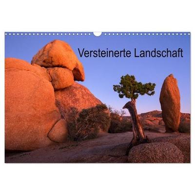 Versteinerte Landschaft (Wandkalender 2027 DIN A3 quer), CALVENDO Monatskalender