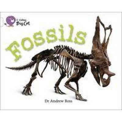 Fossils, Taschenbuch von Andrew Ross, HarperCollins, 978-0-00-733619-7
