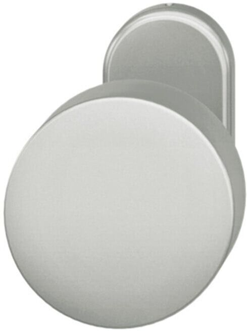 FSB Bouton de porte PT, 07 0829, rosace ovale, alu F1 (0 07 0829 22801 0105)
