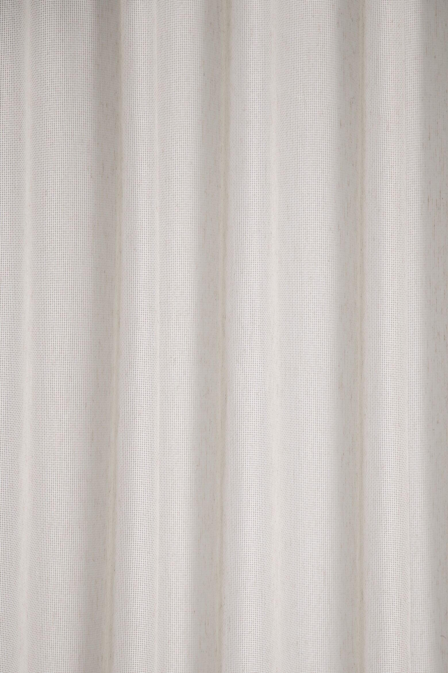 Vorhang HOMING "Feles" Gr. 1, beige (natur), B:140cm H:245cm, Polyester, Gardinen, Vorhang, Fertigschal