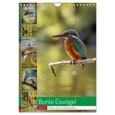 Bunte Eisvögel (Wandkalender 2027 DIN A4 hoch), CALVENDO Monatskalender