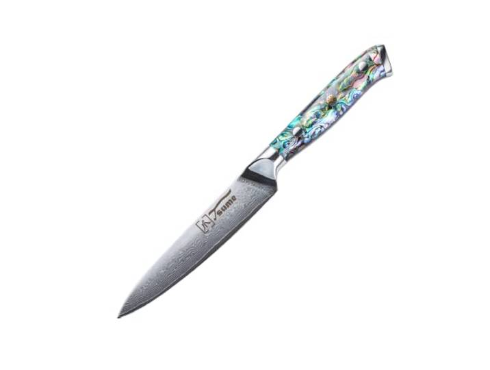 Tsume Allzweckmesser Abalone, Klingenlänge 13cm, Echtes Damast Küchenmesser mit Perlmuttplatten, 67 Schichten VG10 Edelstahlkern mit Kunstharz Handgriff, Rasiermesserscharf