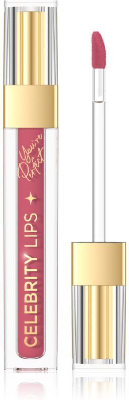 Eveline Cosmetics Celebrity Lips long-lasting matt liquid lipstick shade 07C 4 ml