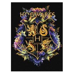 Ideyka Malen nach Zahlen - Hogwarts-Wappen aus Metall (68018480)